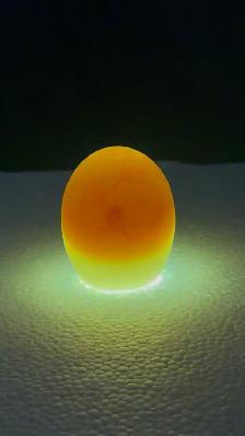 Duck Hatching Eggs Available - Photo 4