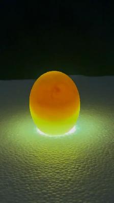 Duck Hatching Eggs Available - Photo 5