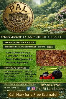 Spring Clean up