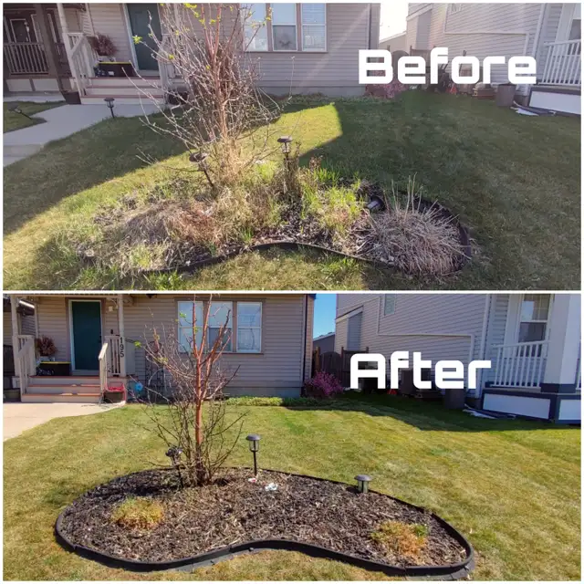 Spring Clean up - Photo 2