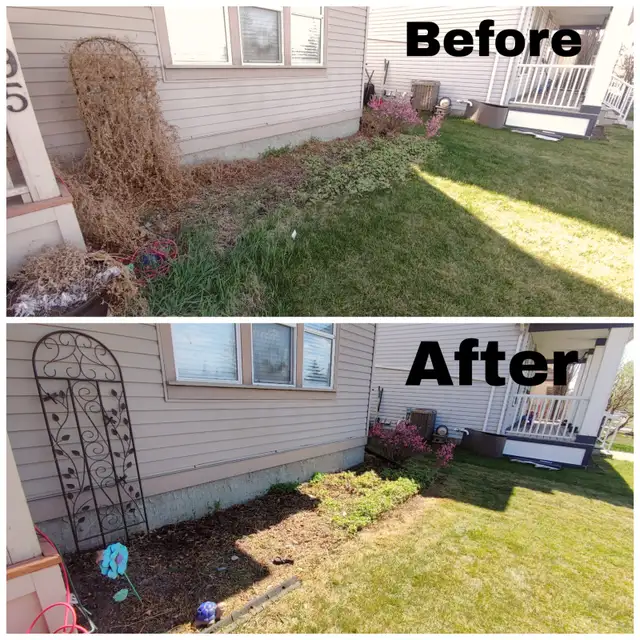 Spring Clean up - Photo 3