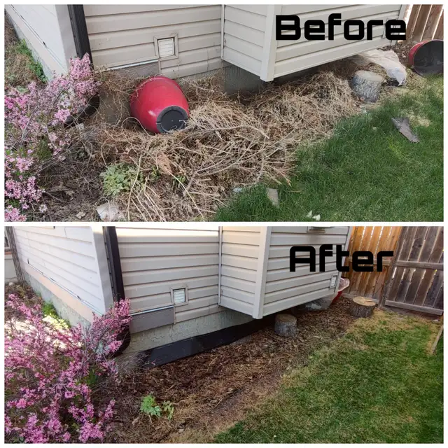 Spring Clean up - Photo 4