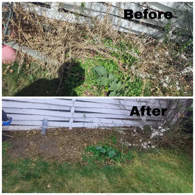 Spring Clean up - Photo 6