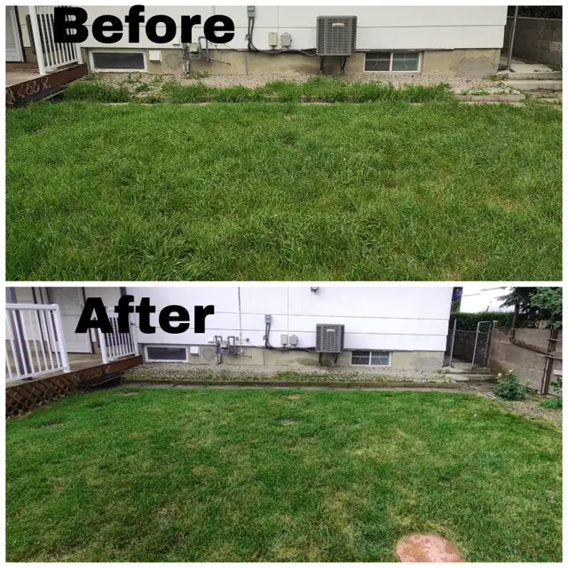 Spring Clean up - Photo 7