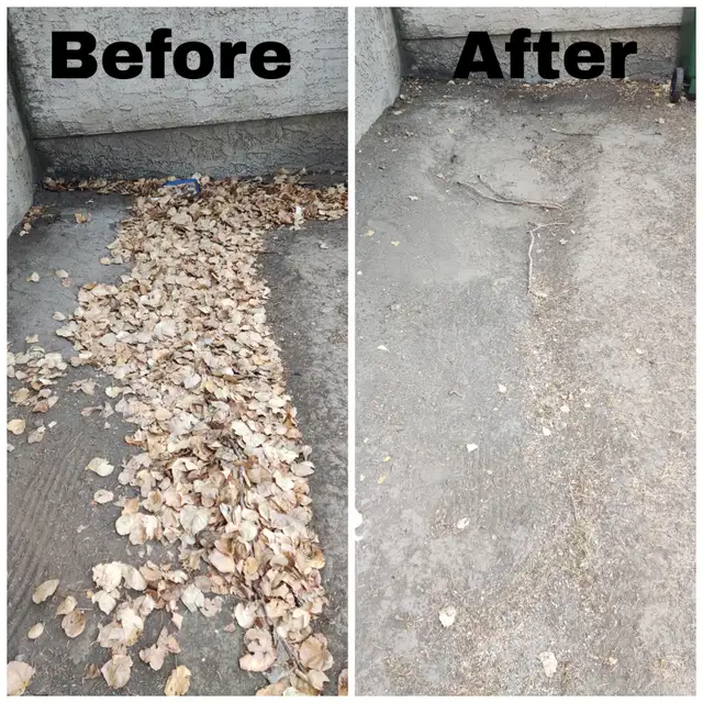 Spring Clean up - Photo 9