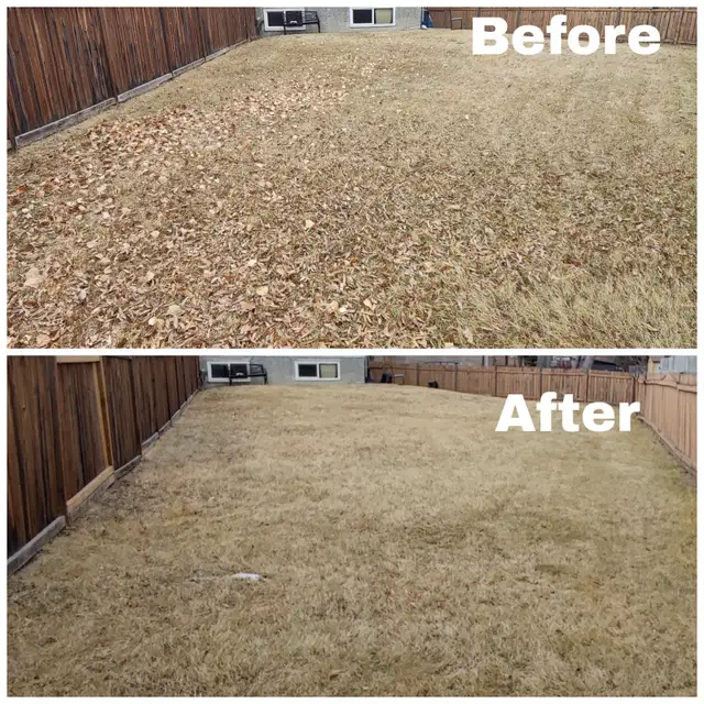 Spring Clean up - Photo 10