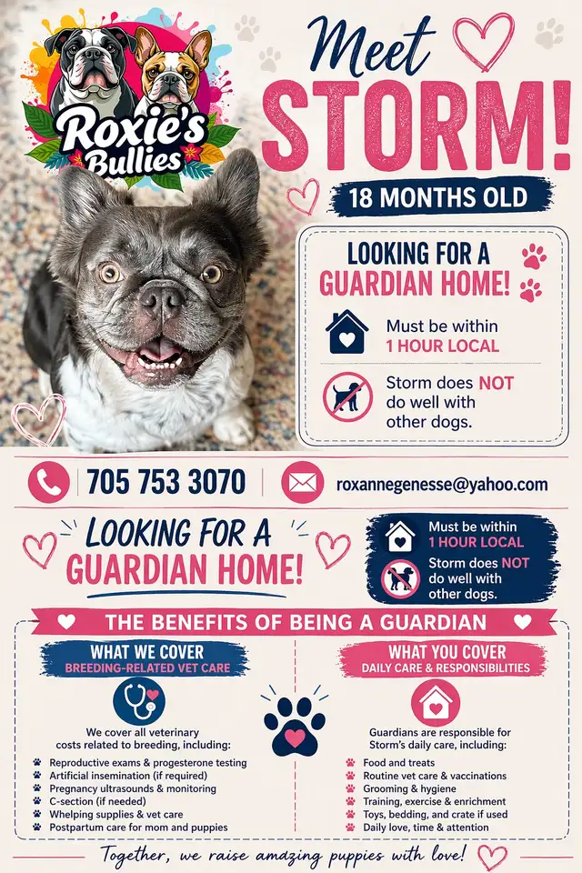 guardian home wanted