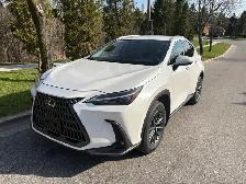 2022 Lexus NX250 - Photo 2
