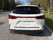 2022 Lexus NX250 - Photo 4