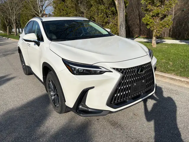 2022 Lexus NX250 - Photo 5