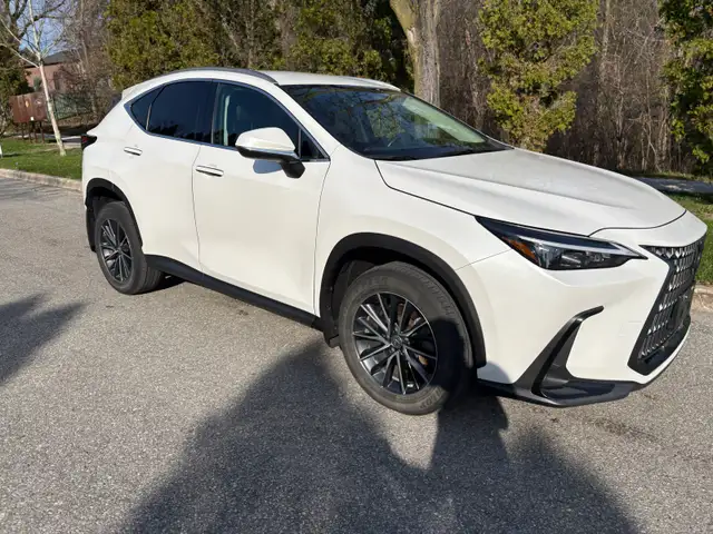 2022 Lexus NX250 - Photo 6