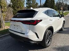 2022 Lexus NX250 - Photo 7