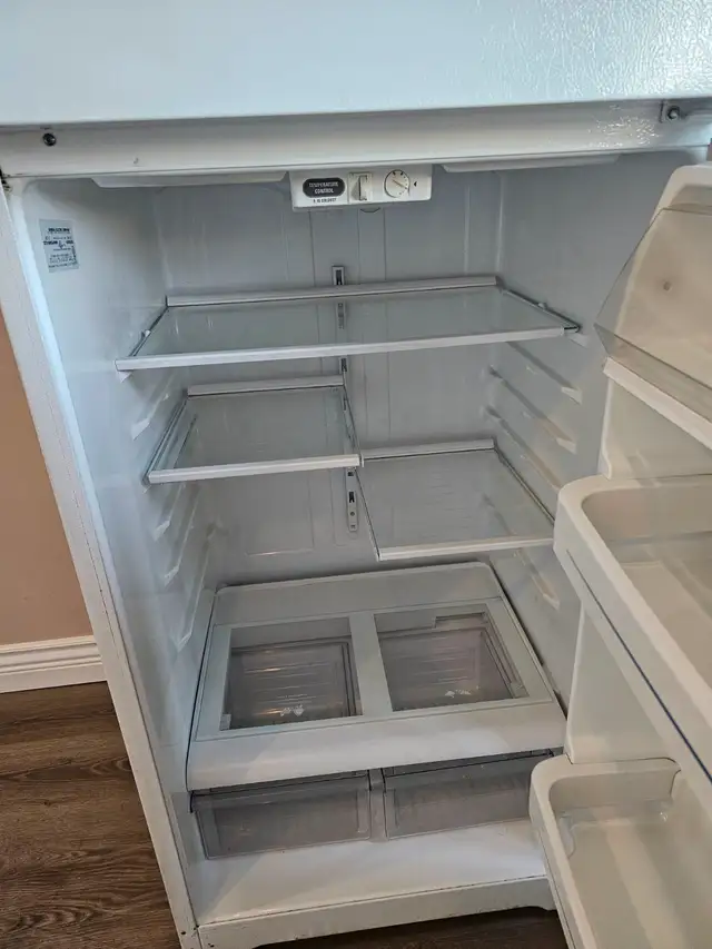 White GE Fridge - 2 door - Photo 4