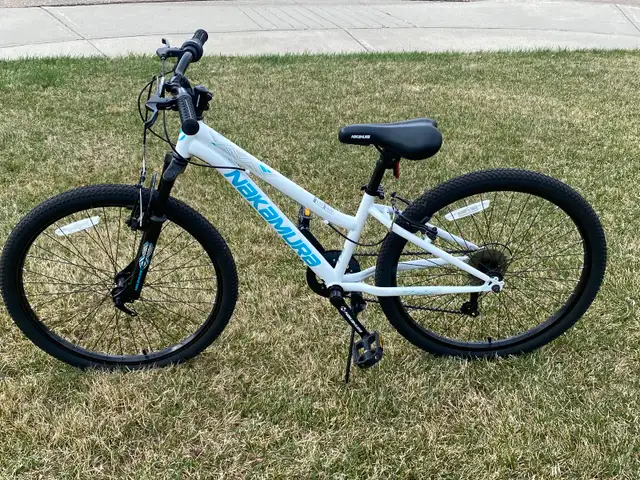 Nakamura Pristine 24inch White/Blue Bike- Excellent Shape - Photo 2
