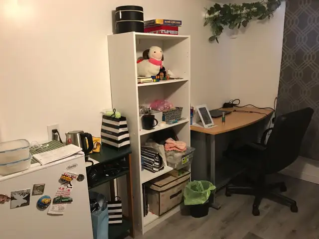 ONLY 1 x Grad Students Unit wth Pvt Ensuite Bathrm Left ! - Photo 2