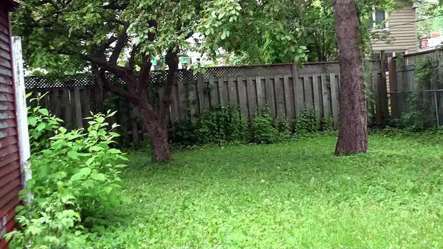 ONLY 1 x Grad Students Unit wth Pvt Ensuite Bathrm Left ! - Photo 10