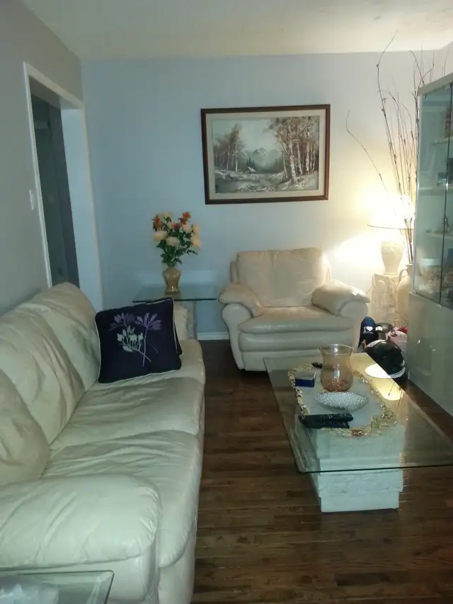 Upper level single bedroom $ 650 May 1 near Sheridan Brampton