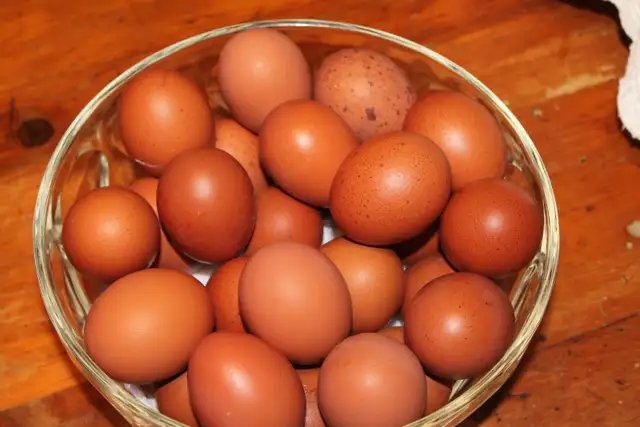 Fresh Eggs