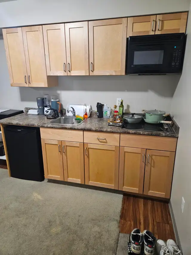 Basement Bachelor Suite - Photo 2