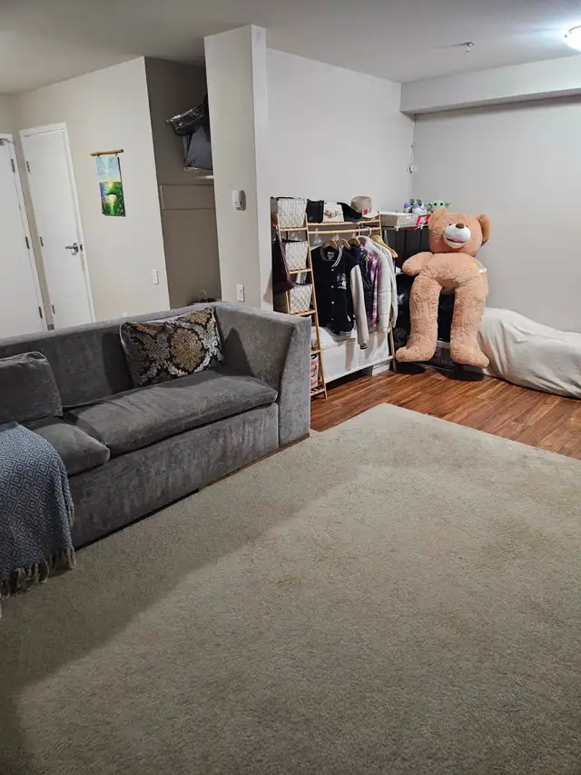 Basement Bachelor Suite - Photo 4