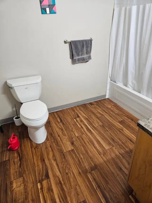 Basement Bachelor Suite - Photo 6