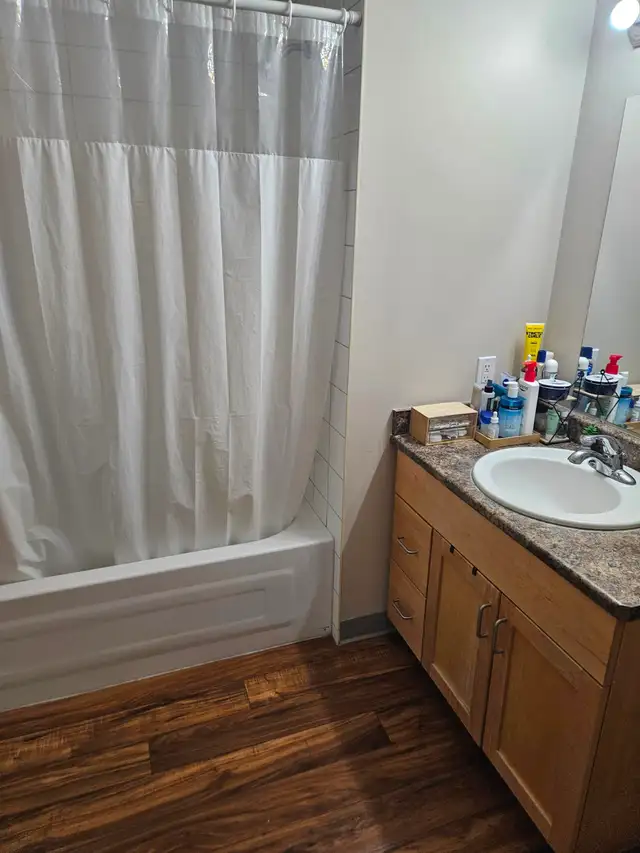 Basement Bachelor Suite - Photo 7