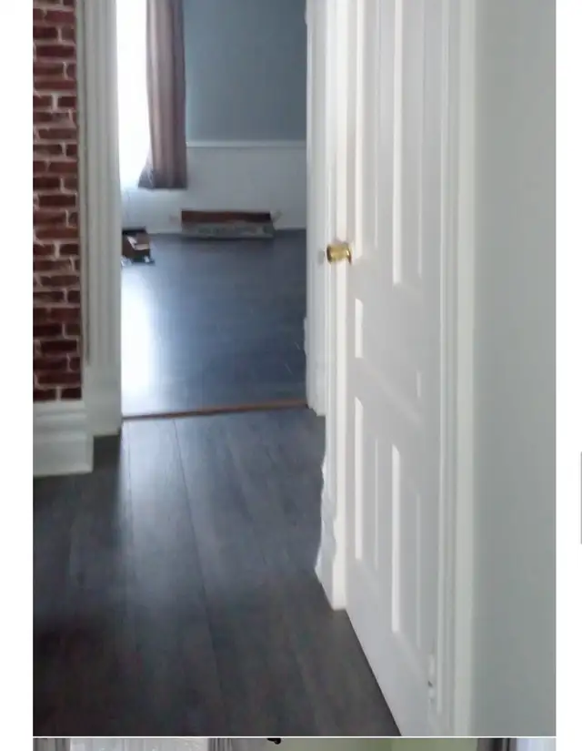 Beautiful Apartment for Rent in RIDGETOWN near Chatham - Photo 4