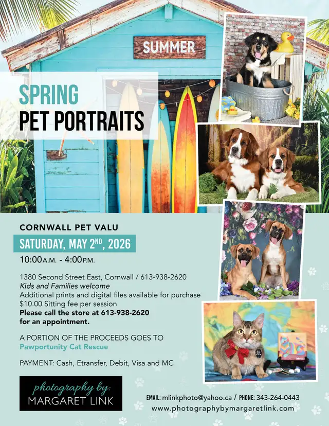Professional Pet Portrait Day in Cornwall, Saturday, May 2nd. - Photo 2