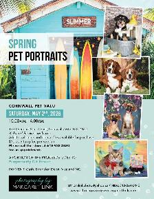 Professional Pet Portrait Day in Cornwall, Saturday, May 2nd. - Photo 2