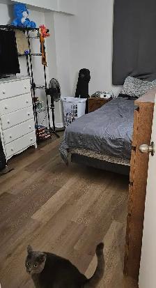 Hull – All-Inclusive | 1st Month FREE   AC Fee PAID   Early Move - Photo 8