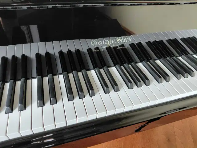 Grand Piano - Photo 2