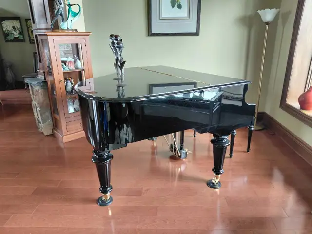 Grand Piano - Photo 3