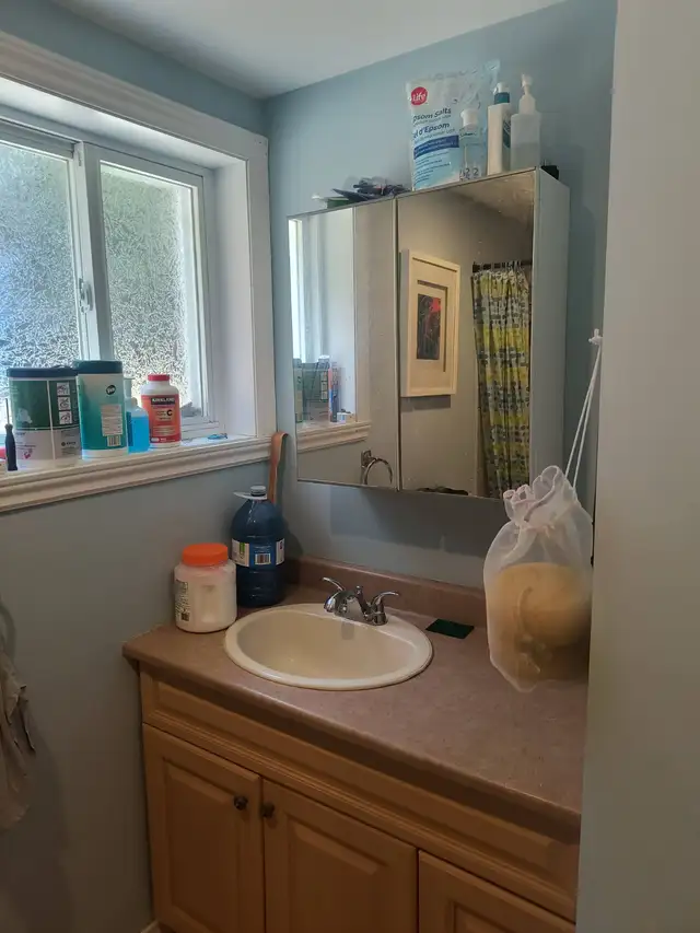 GRAND 3 1/2 sur une petite rue tranquille, Blainville - Photo 6