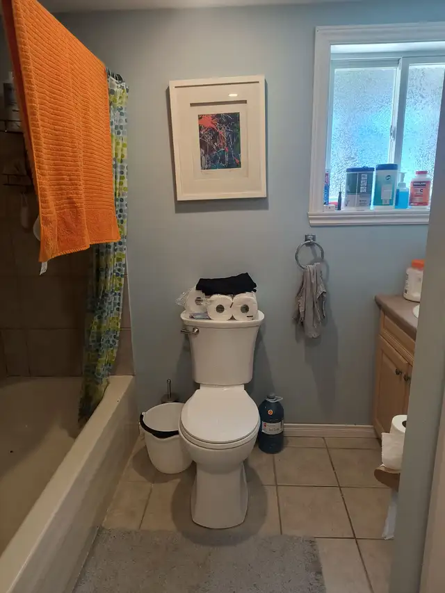 GRAND 3 1/2 sur une petite rue tranquille, Blainville - Photo 7