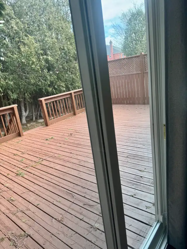 Beautiful Furnished Room for Rent – Female Only | Whitby - Photo 5