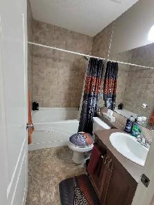 2 bedroom walkout basement suite available now - Photo 8