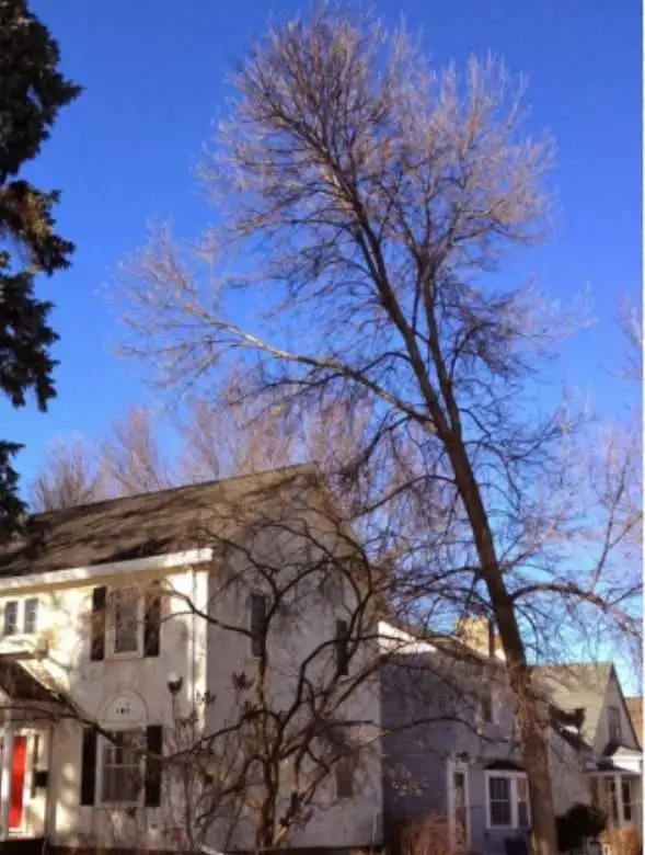 Starting a new project but you need help? I can help with that! - Photo 2