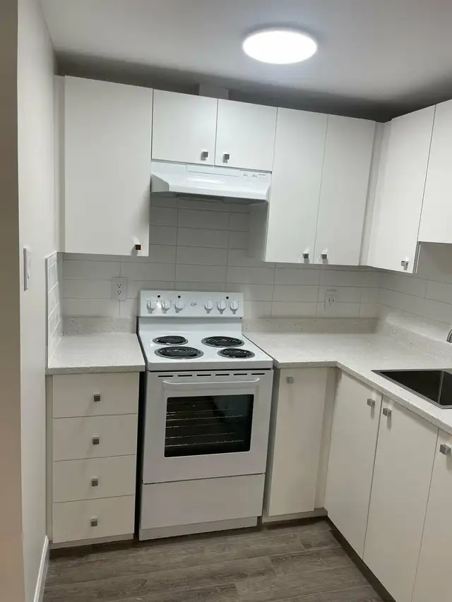 Huge room with kitchen, bathroom and living room $1200 - Photo 3