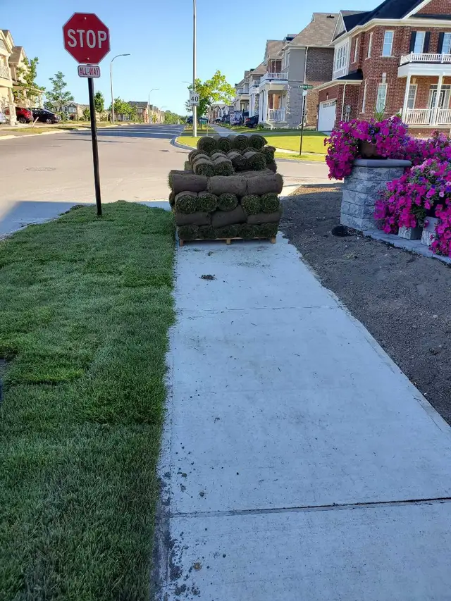 Quality Landscaping Services