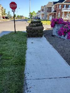 Quality Landscaping Services