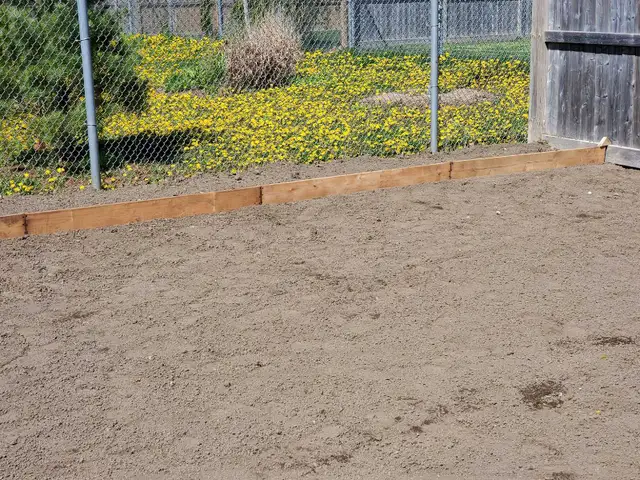 Quality Landscaping Services - Photo 3