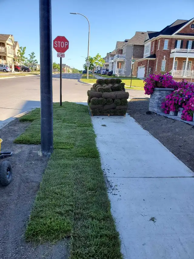 Quality Landscaping Services - Photo 6