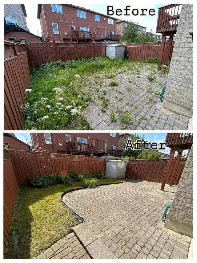 Jazz landscaping services