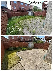 Jazz landscaping services