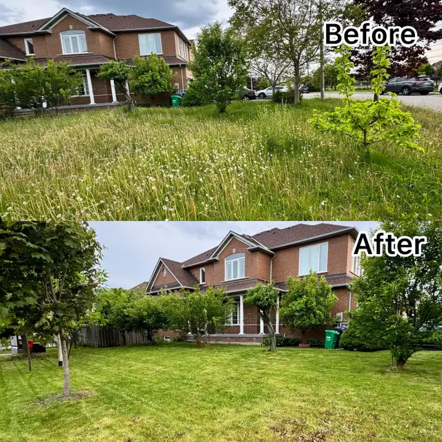 Jazz landscaping services - Photo 3