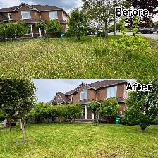 Jazz landscaping services - Photo 3