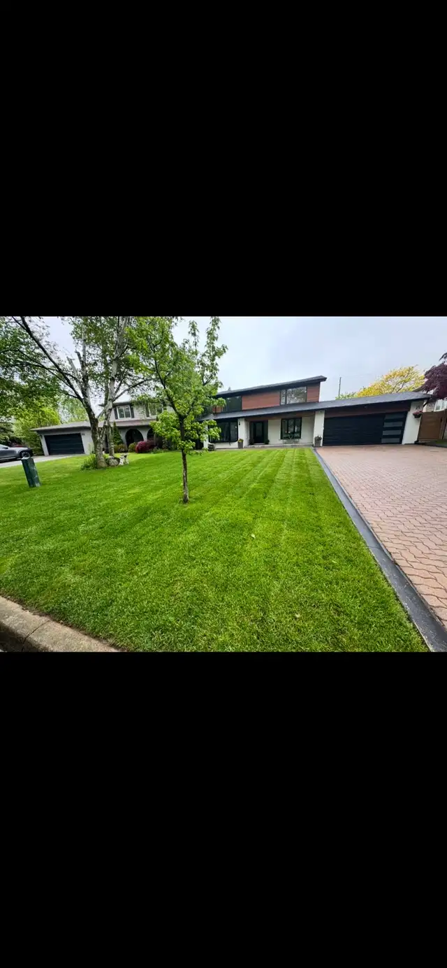 Jazz landscaping services - Photo 4