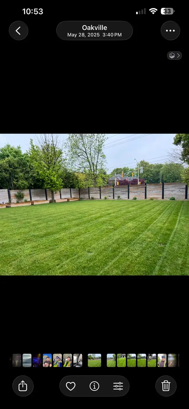 Jazz landscaping services - Photo 5