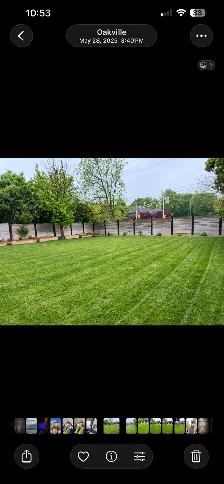 Jazz landscaping services - Photo 5