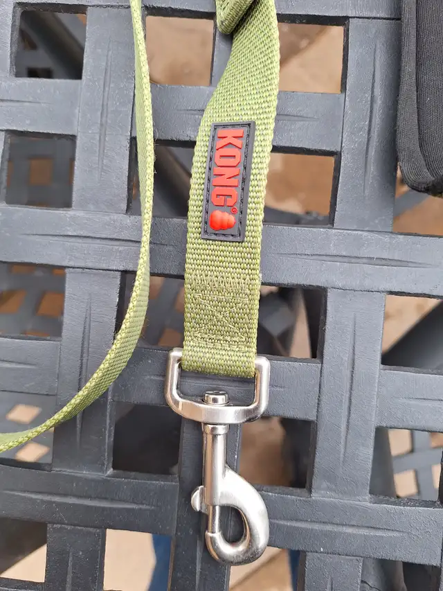 Kong Green Dog Leash - 6 foot - New - Photo 5